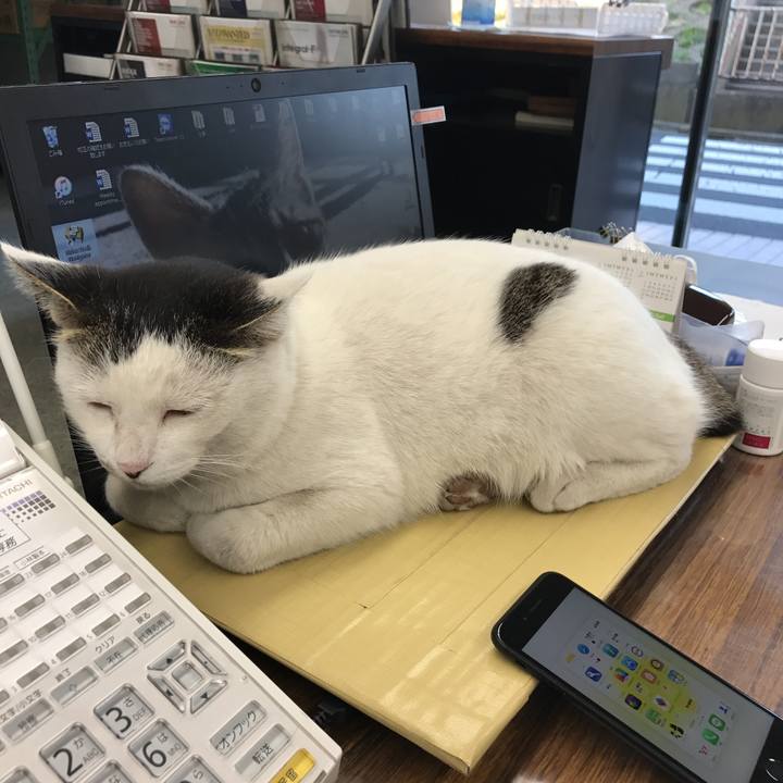 82491f79 b55f 465b 83fe 05c0bb21918e