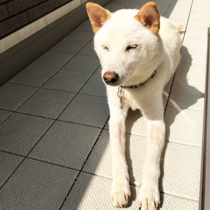 824981d7 a9af 4184 813a 2a35061cca9f