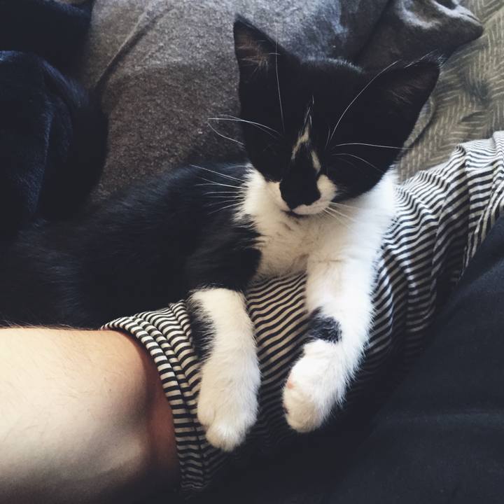 824a40ad 2580 426f a114 2e1707f7f908