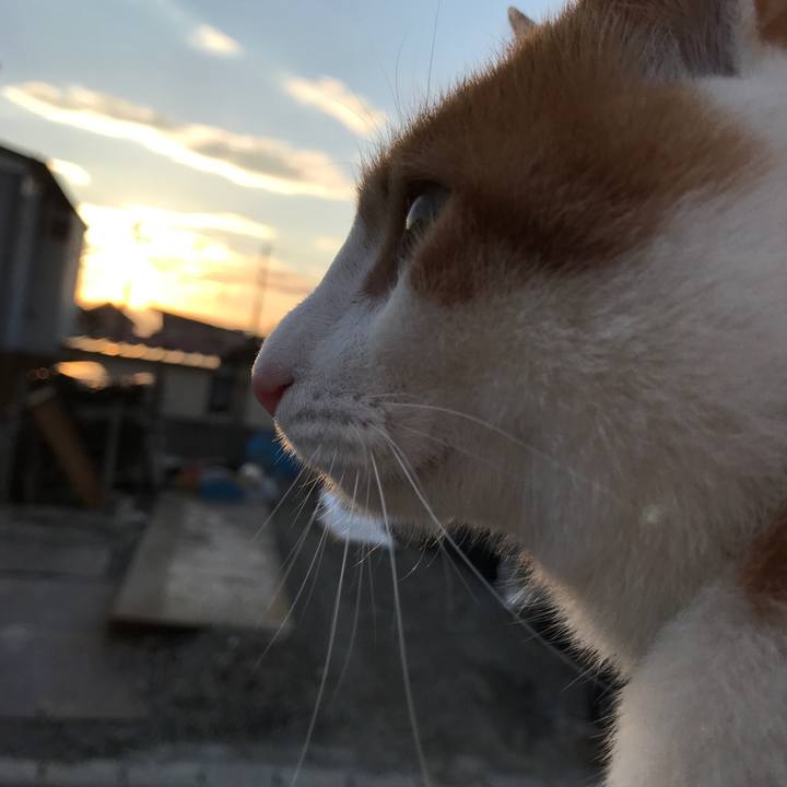 824a7df9 fad5 40d7 a7c8 40a56022fd7d