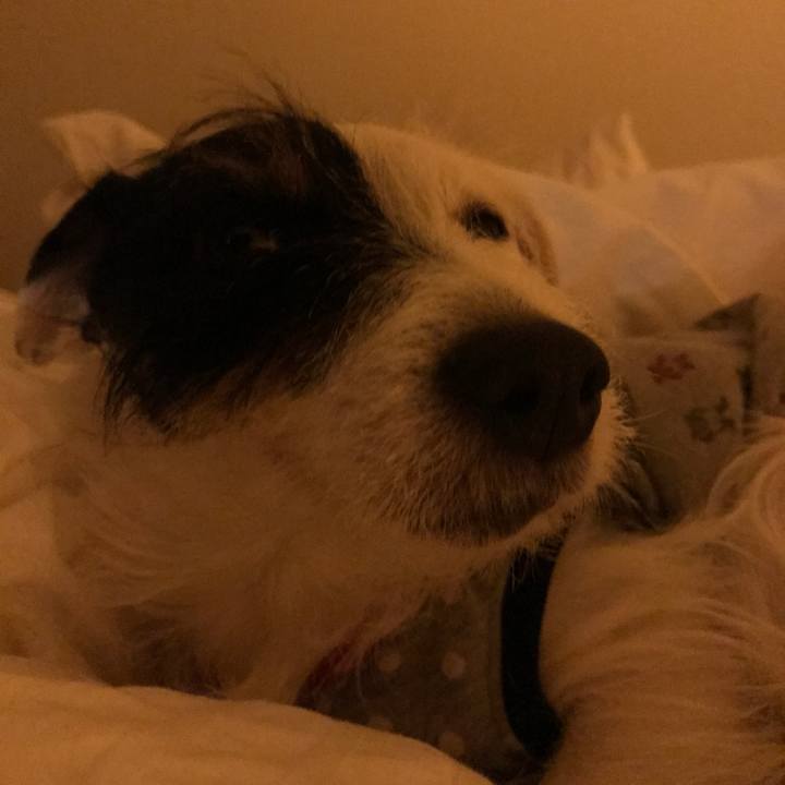 824b0ea7 b683 466c ad25 86634fb15190