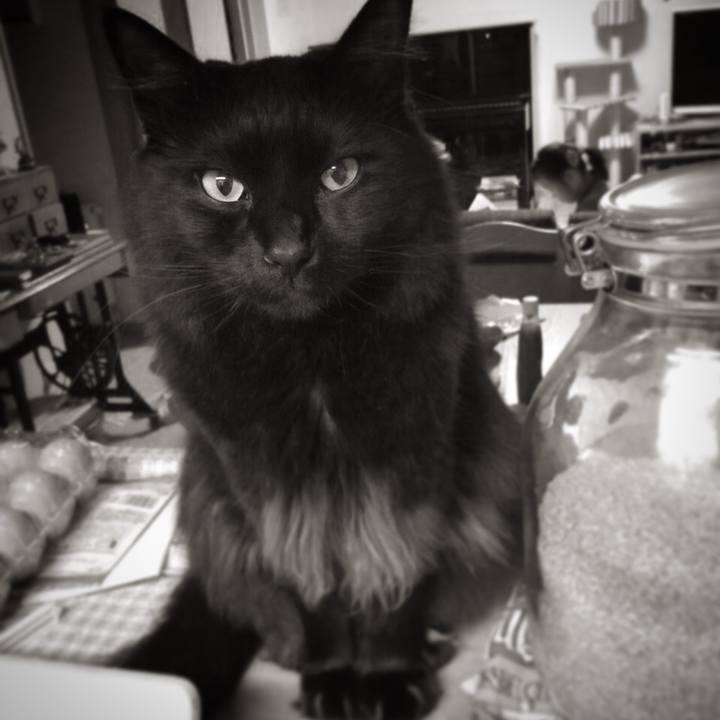 824bd4f1 dedc 4dee 953a cb69c7866aac