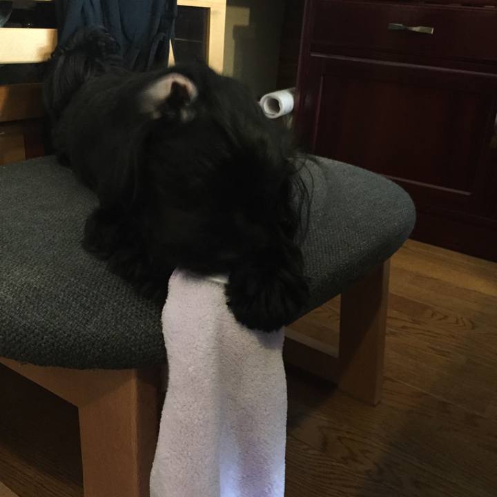 824ca97c 2418 44fd bd7d c4f4d2eaa75f