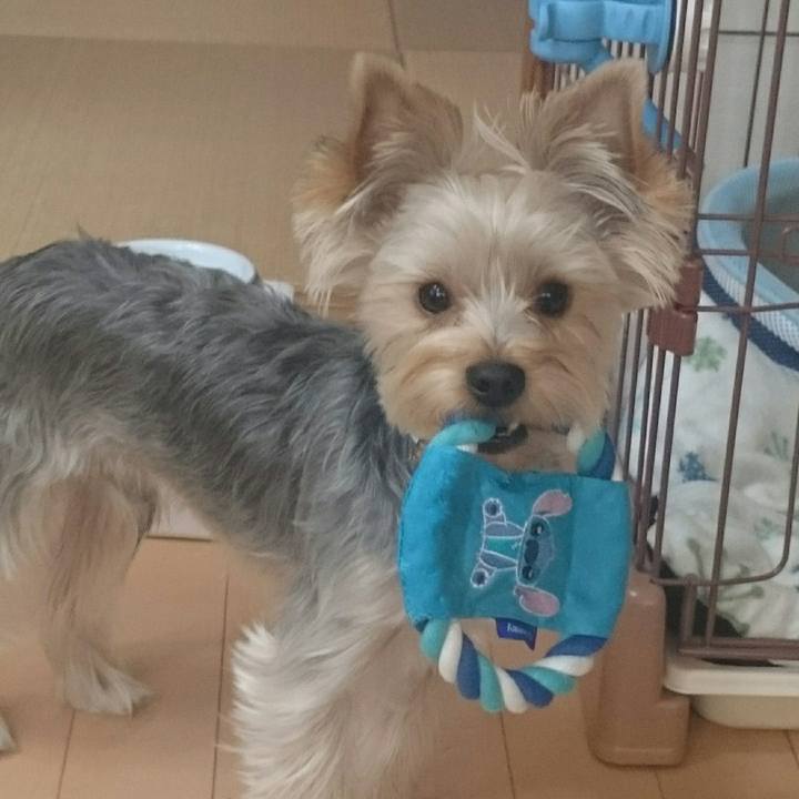 824db02b 39f4 4a76 a1ae 2931edf771a9