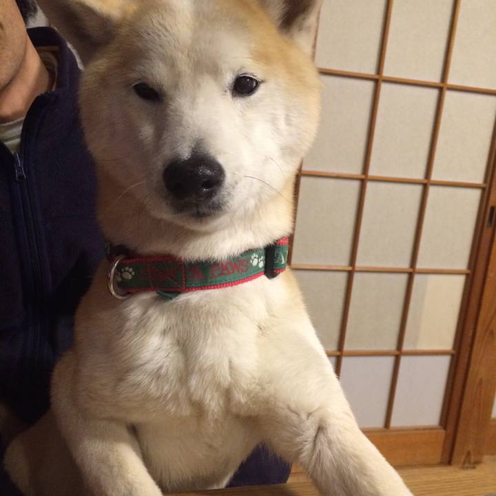 824e4d2f a219 4b25 9e84 ee1ebfe57c55