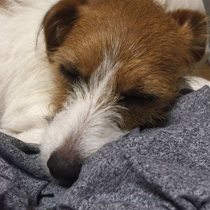 824e56e0 4d74 4f0e 95be 0f90dcfa69a5