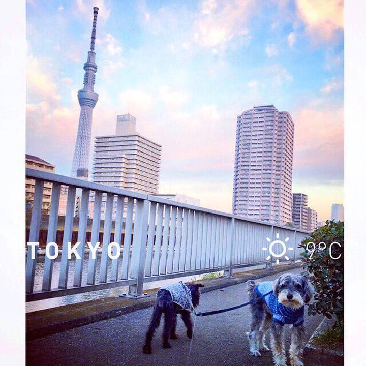 824f25be d853 4393 9171 eae2ffd3cfbb