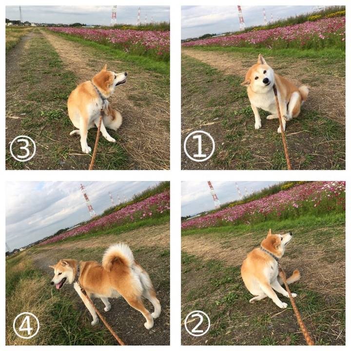 824f37e7 f075 42d9 9dd6 940542bd6b01