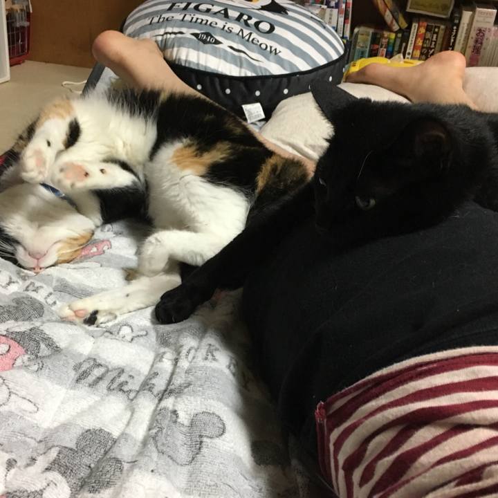 824f9251 9c6d 42d4 8a95 bf0b8da7f27e