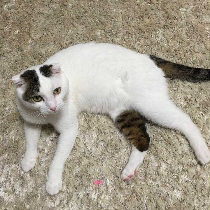 824f9906 da90 41b0 90ff 5d602f30feb2