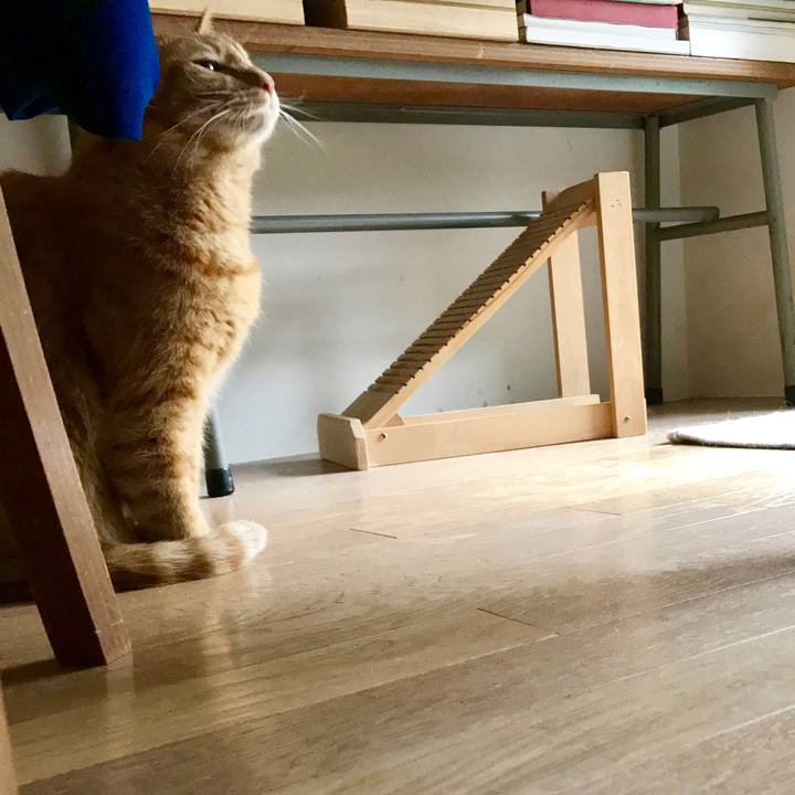 824fbad1 e0e7 4113 bfe8 49b36b96b63d