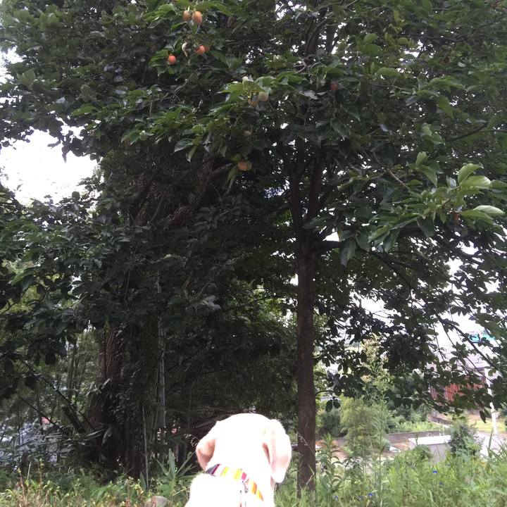 82504696 0c3d 4dc1 bf27 b86963bf13b3