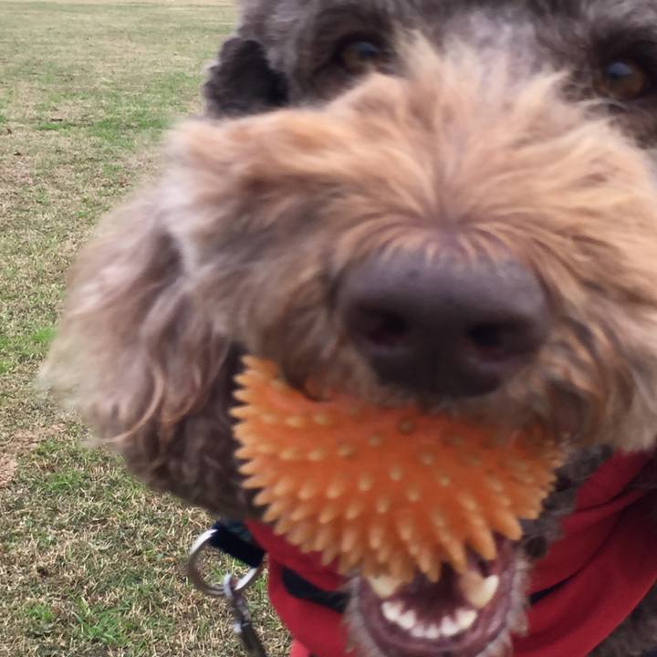 82508eca 2ca9 42cf ad56 6d8f8dc99e9f