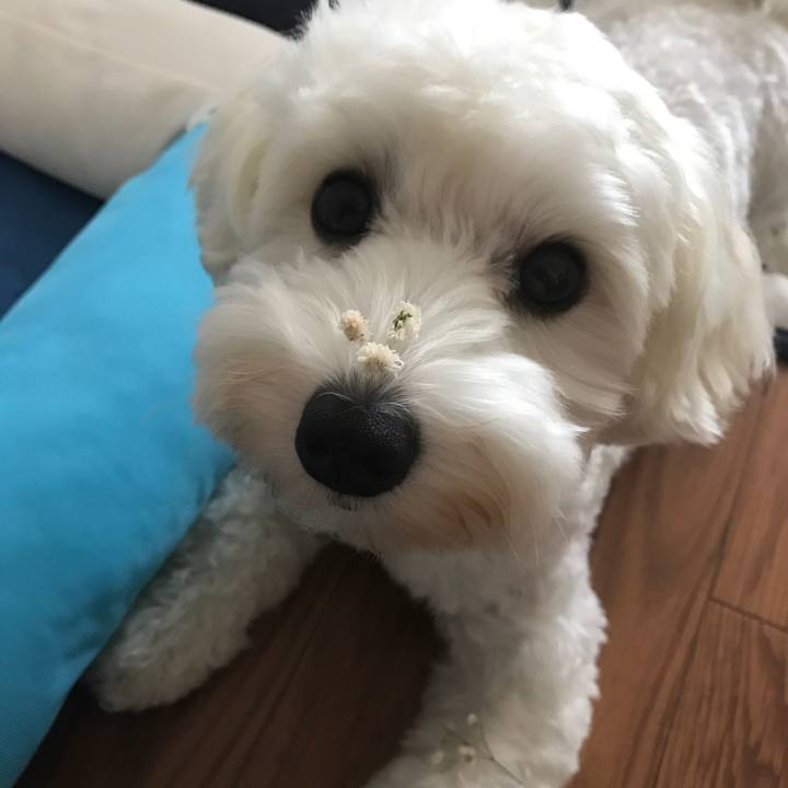 8250caf0 f3cf 497e 8b58 2e82804fa40e