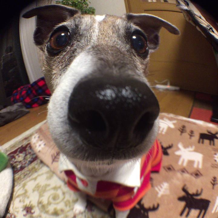 82515dcc 79dd 429e 8a41 4a970f14dc9a