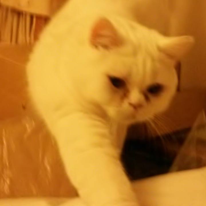 8251f925 2db6 494d a7d7 4966c6e6b5ea