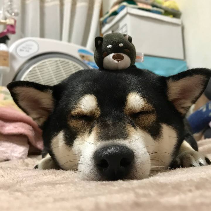 82524035 3d71 4d0d 82a3 f2b9d31821cb