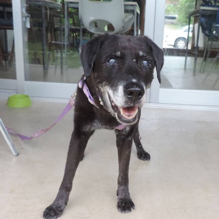 8252b421 d94c 445f acb7 a56e31884a5c