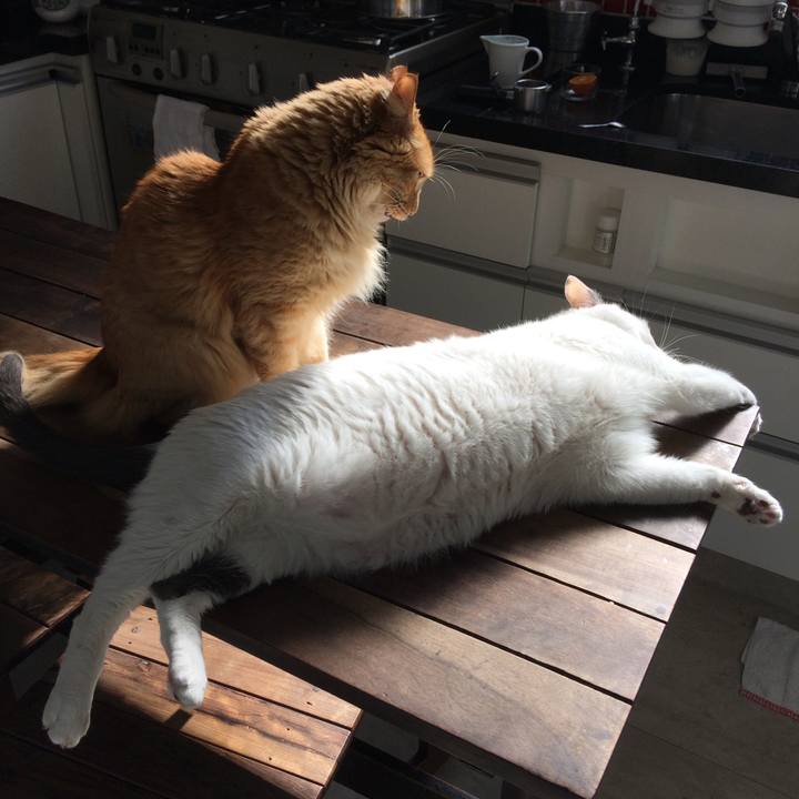 82543cdd 25a9 4292 9200 2e2e99ca73d5