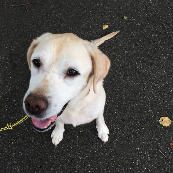 82559044 7d04 447c 86dd 1008526093ba