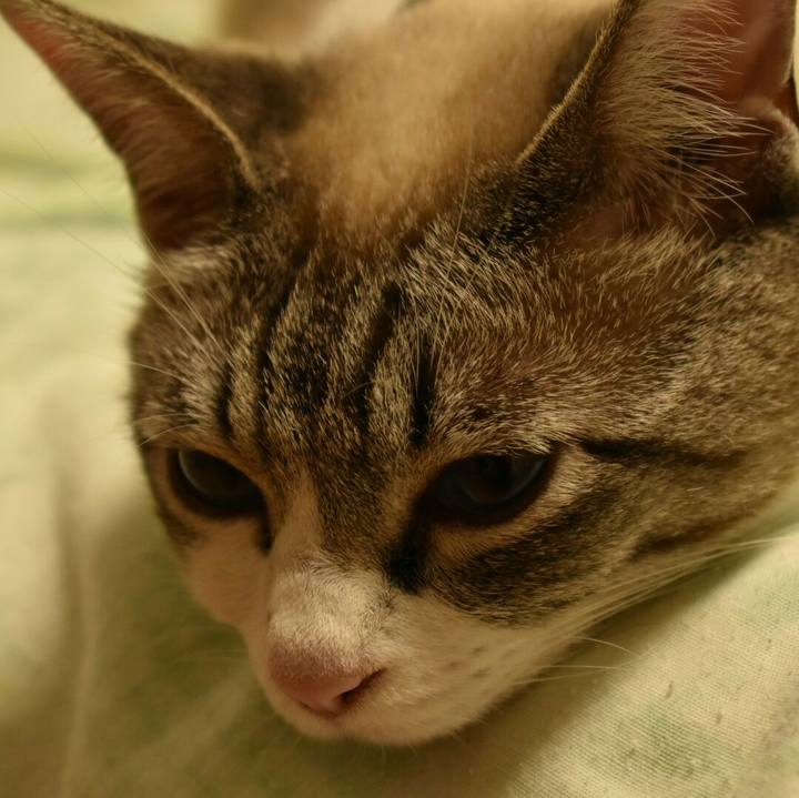 8255dd6a 4d5e 4a21 903d e32aa10df1d7