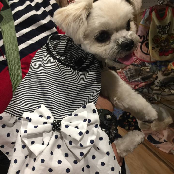 8255e2e5 35c6 4d54 ad1e 557cdadcd34e