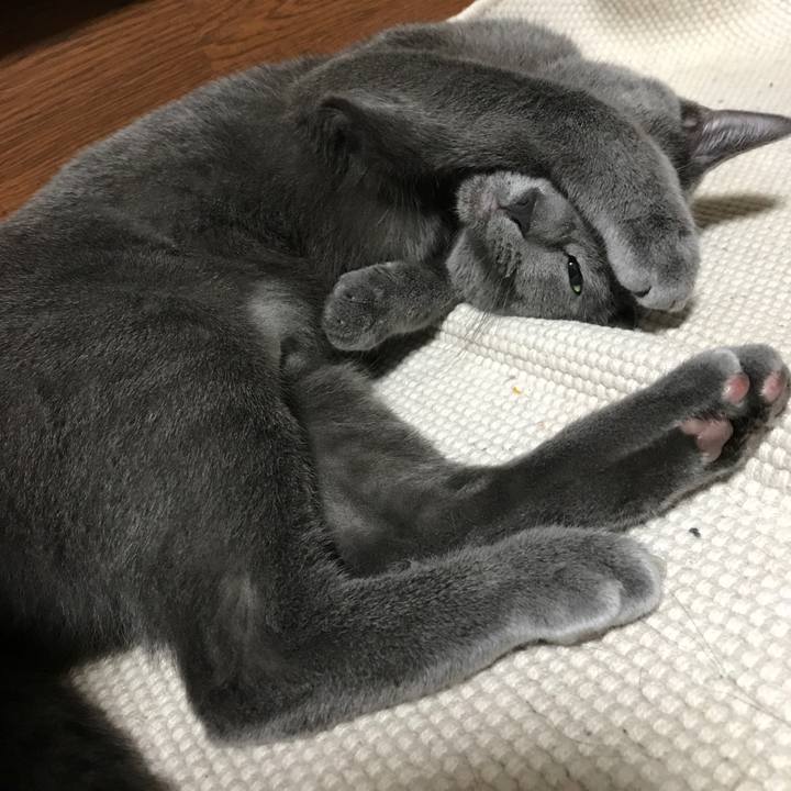 825654d2 e394 4d13 b2c1 714bf476322b