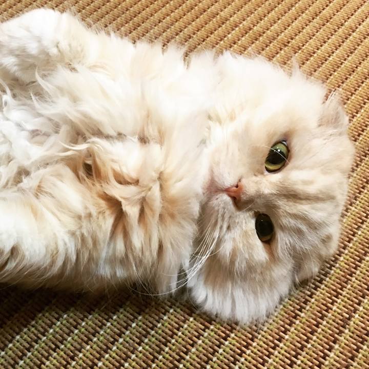 82573142 d0e6 4f53 a143 128a3e9e6f17