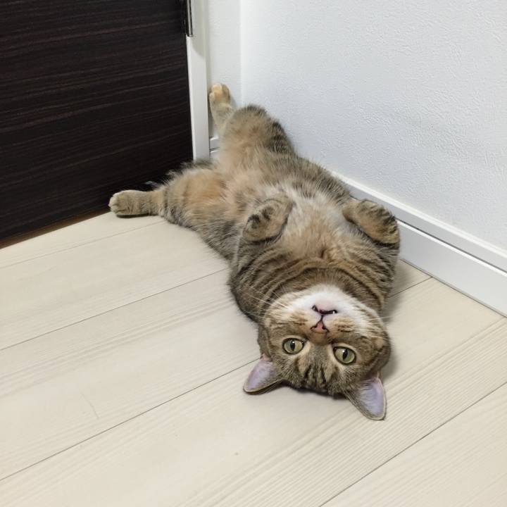 82574eae 7ce8 4e5a be07 03978321fd50