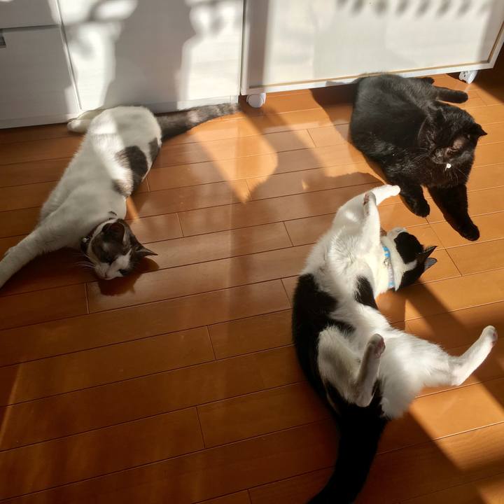 8257834c 5042 4be1 b5d9 95c041135be2