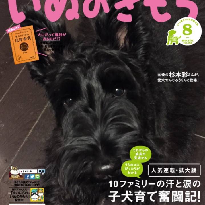 8257b34c d015 4d0a af46 5a0194982948