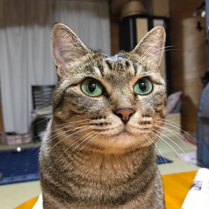 8257bceb f70d 4392 a2c7 993c24d57cca