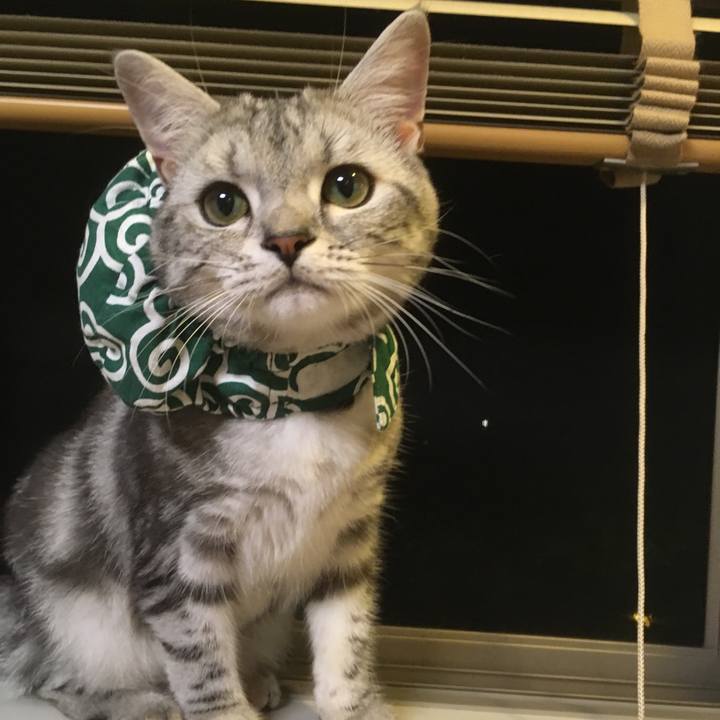 82582c21 43f0 4461 936e 5bca6f4eb899