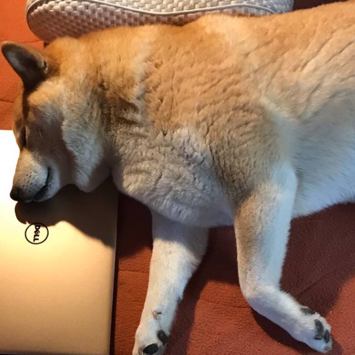 82589366 758a 4ee0 85bc fd9ed3d5c1cf