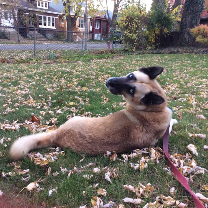 8258e9b6 1175 4b20 87ad e4e30d76bad5