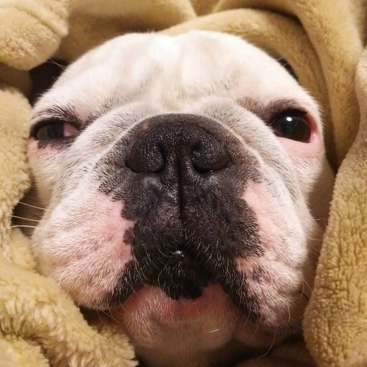 825932a0 239f 4121 9c9d 0728c6bd9b26