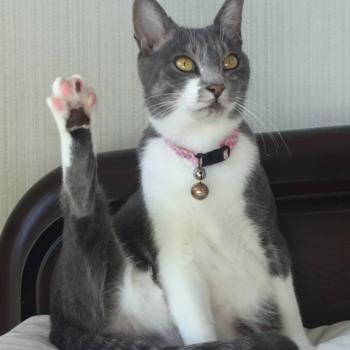 825945c1 89a6 48e9 ab7a 5f8bab4012e3