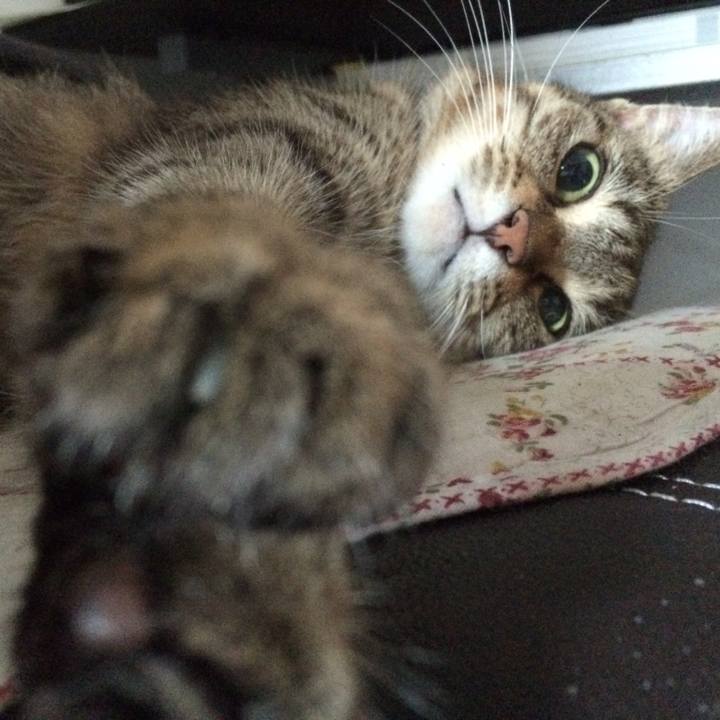 82595d2e 300d 496f beb2 991e9039ff4d