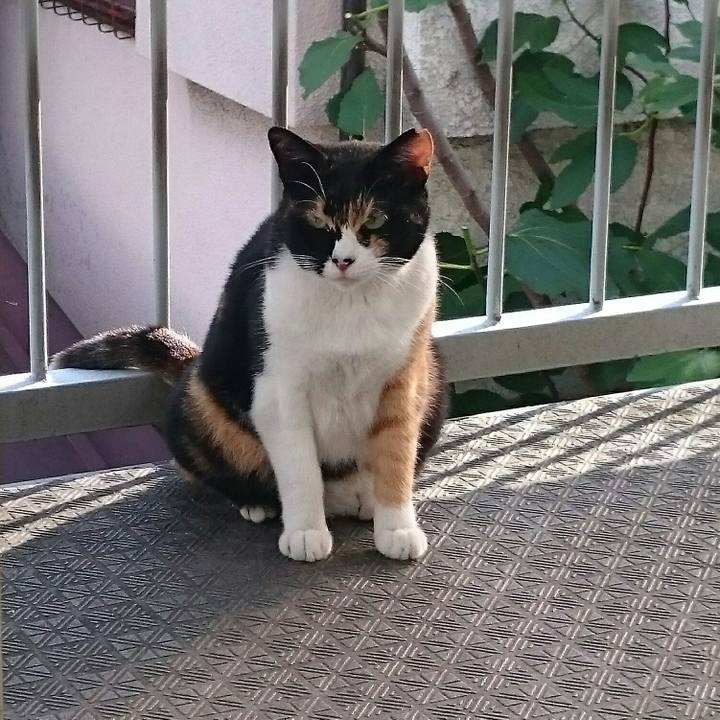 8259800f 6227 46b8 bf45 291a0d46c75d