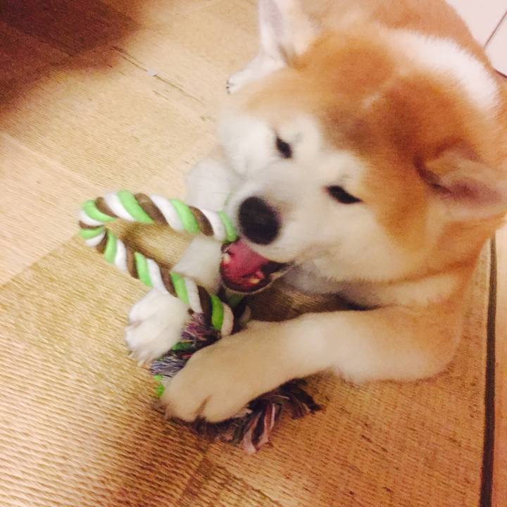 8259f103 856c 4d24 afd1 4d993776789b