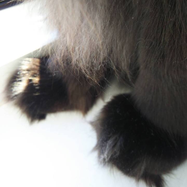 8259f995 6405 42eb b8d4 96f64dcd74f4