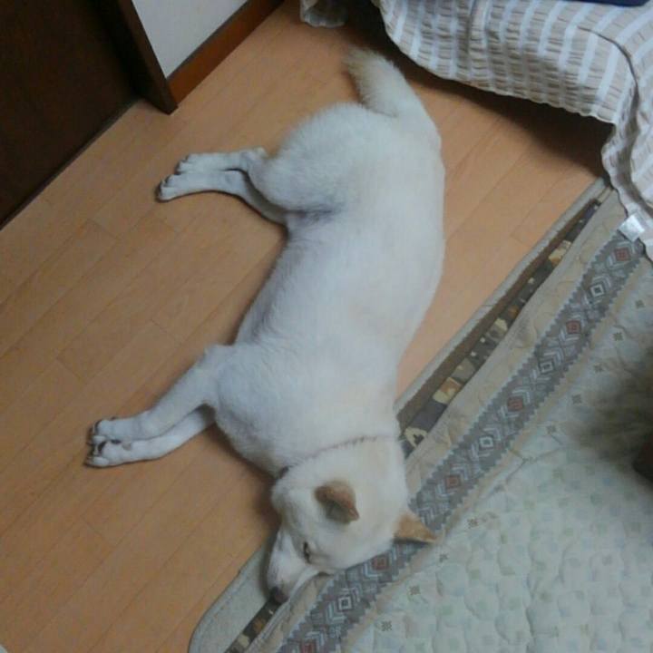 825a2045 d7d3 48ea a595 24d689c59bfd