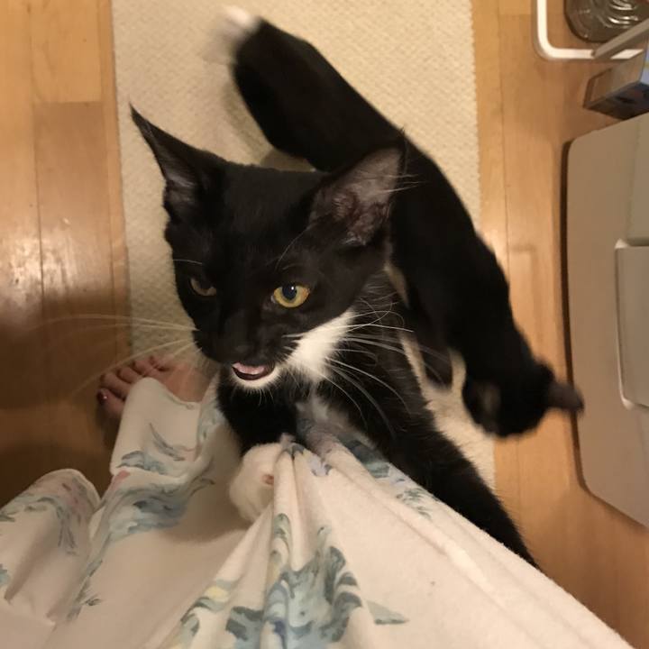 825a9125 f32a 4a8d ab31 1f2c9712f9ef