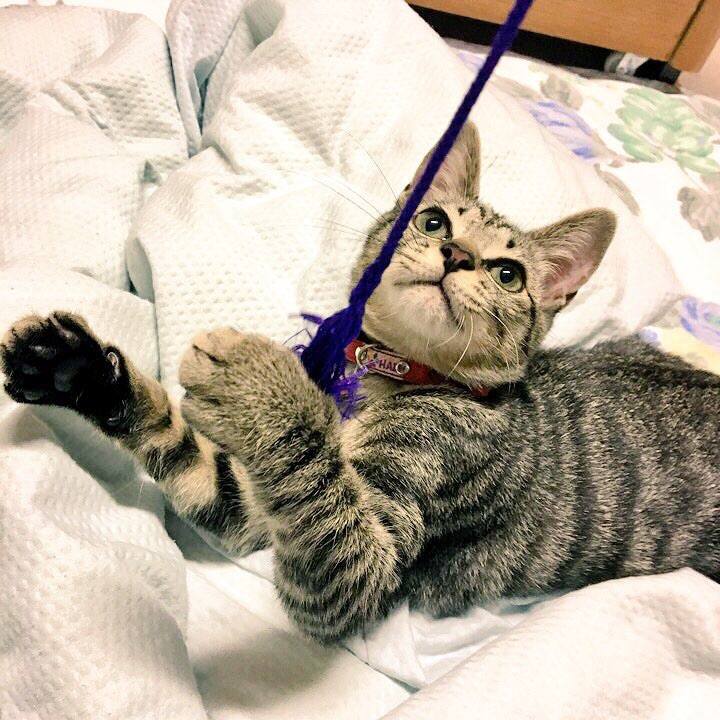 825ac3e0 8ff7 4cb3 87b1 b3a45d7f616c