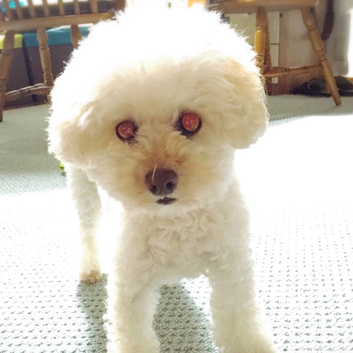 825adbf4 5c94 419e a98d c4b0d012563a