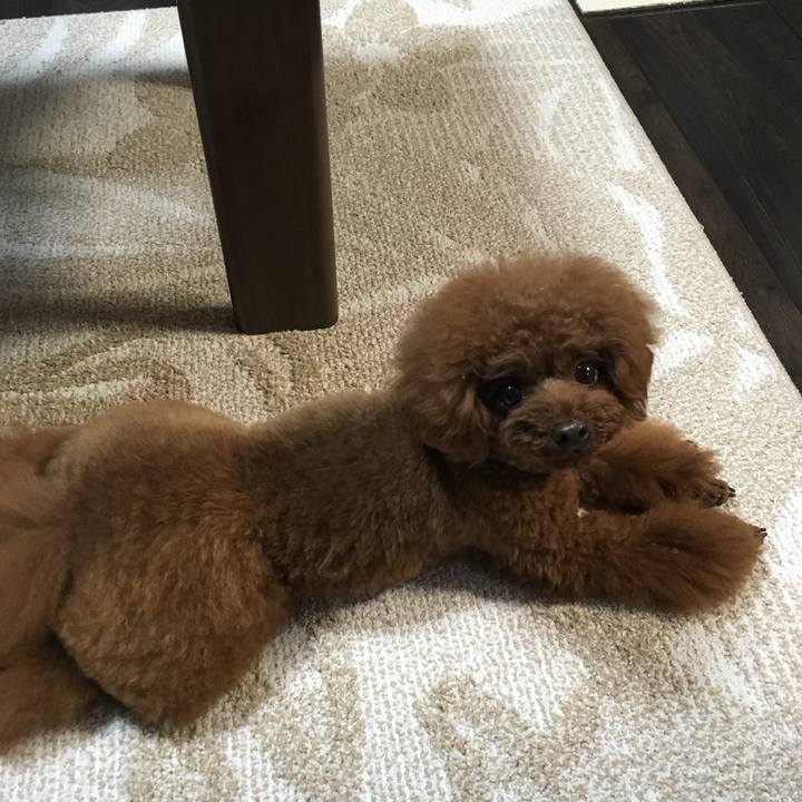 825b44d1 b0c0 4c59 802f b037684d8fe3