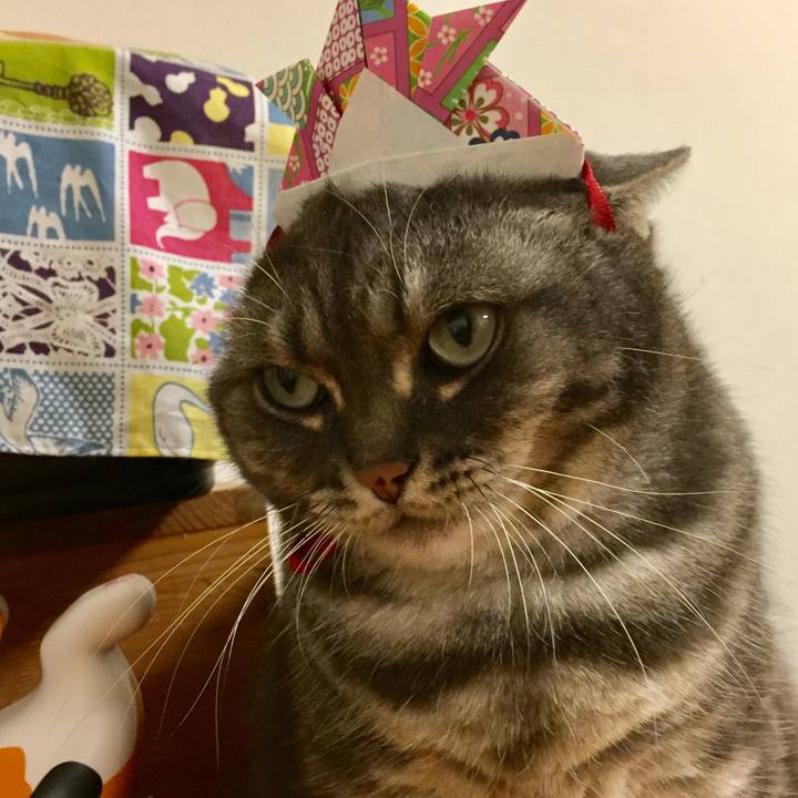 825b6b9b 0657 4df7 a8fa 9061fb02d353