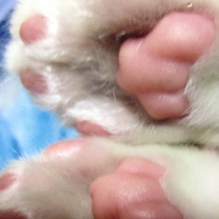 825bab29 36ae 4d5c 9a09 099aaa81138b