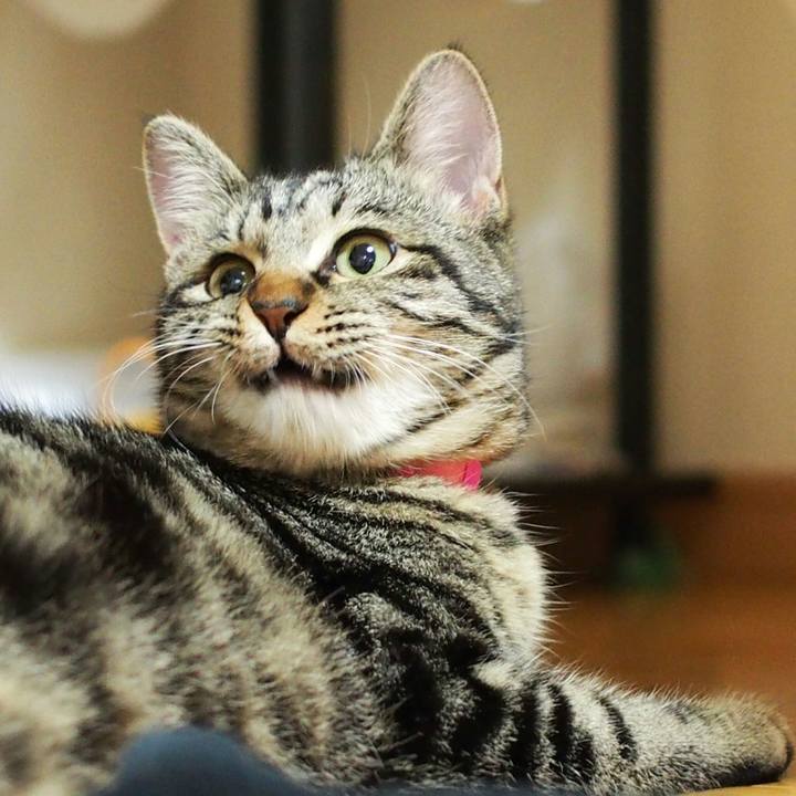 825be63f af9b 48cb 993e 22dcef936a2a