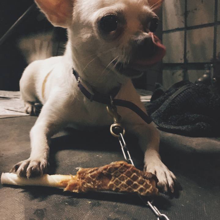 825c5ff0 9de8 4204 a591 b4d788a51e1c